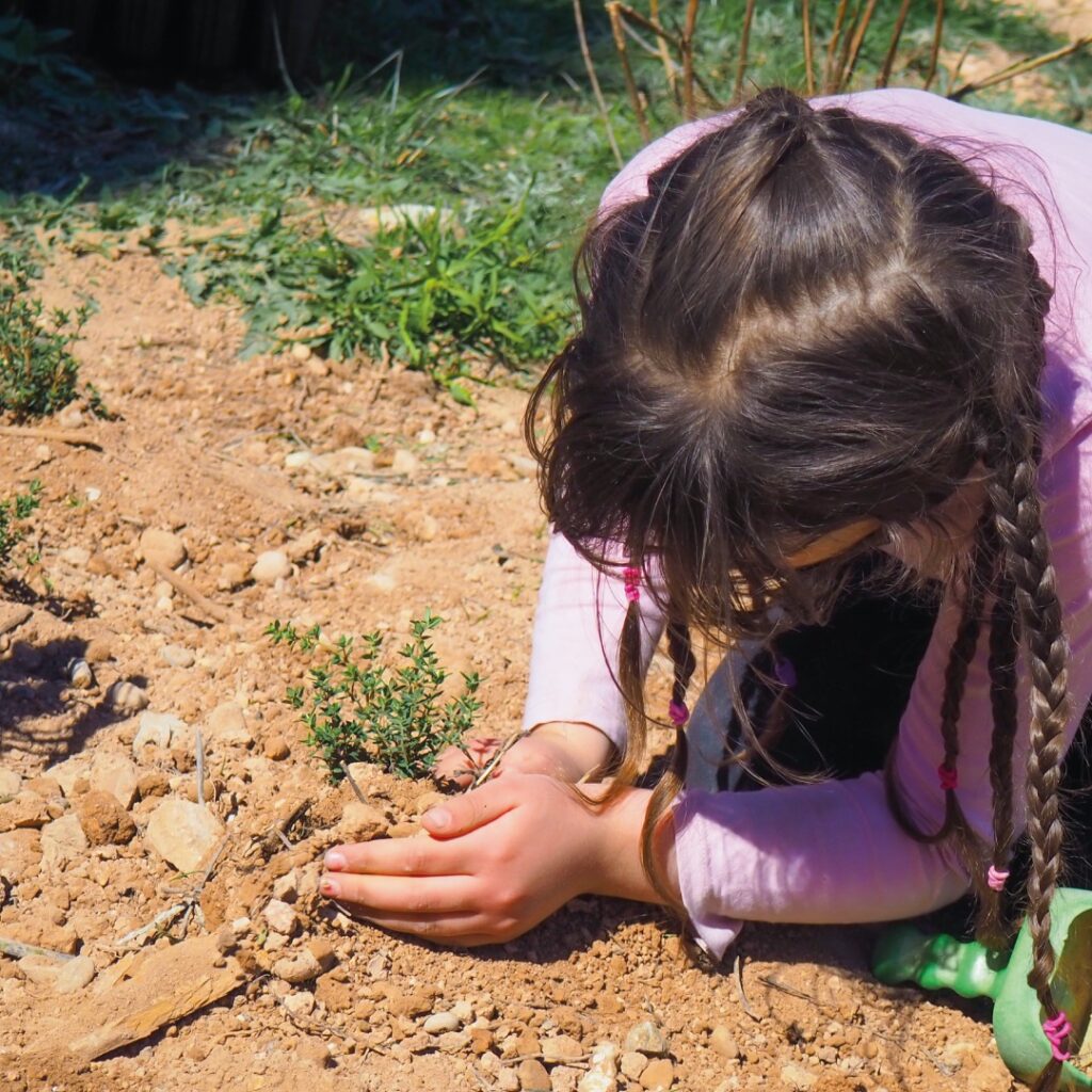 'Pol·linitzadors amb els cinc sentits' del Grup Natura Freixe